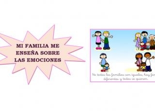 Sugerencias para el manejo de las emociones...